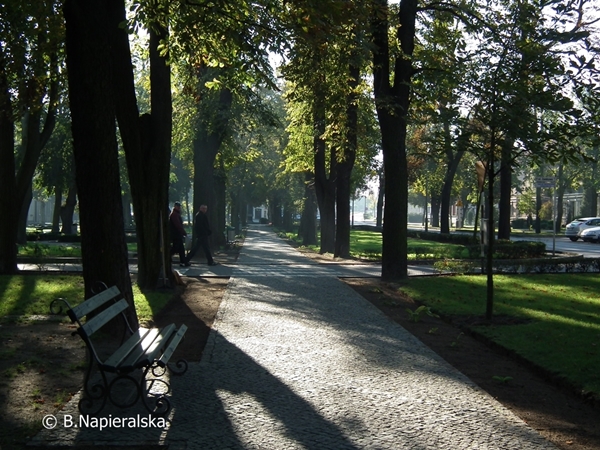 Miedzychód